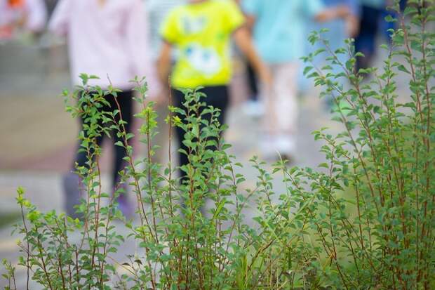 Тульская область примет около 300 детей из Курской области на отдых