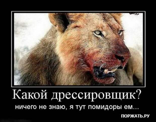 Демативаторы (21 фото)