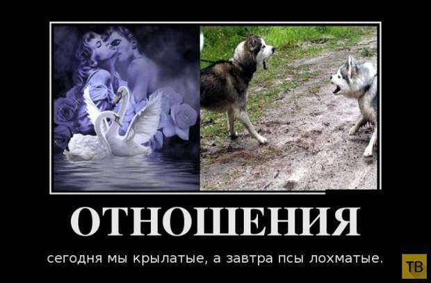 Подборка демотиваторов 23. 01. 2015 (30 фото)
