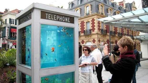 Телефонная будка в аквариуме.