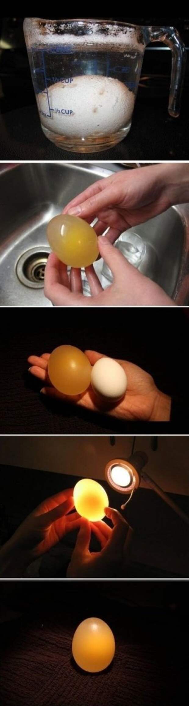 http://img.zzweb.ru/img/895689/egg.jpg
