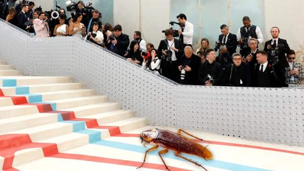 Met Gala cockroach