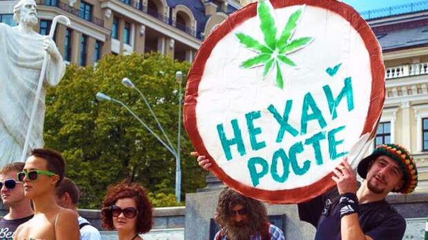 Почти 70% украинцев поддержали в ходе опроса легализацию каннабиса