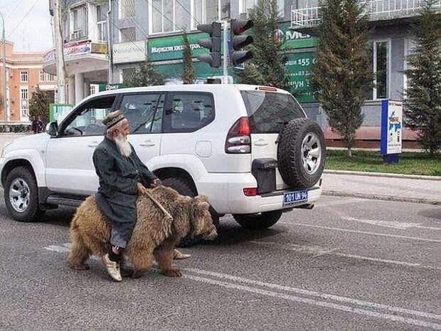 Прикольные фото автомобилей