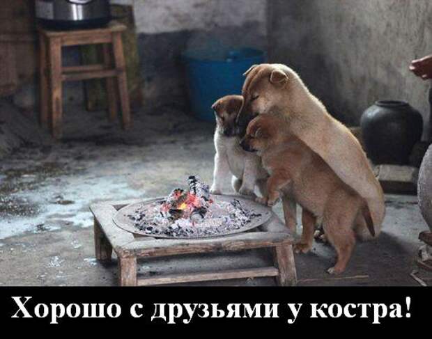 Пятничная подборка приколов, нелепостей, фэйлов и прочей забавности fail, гифки, приколы, фото, юмор