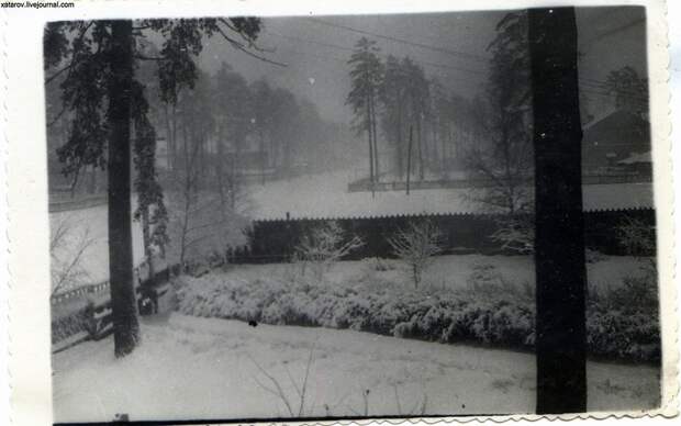Лосинка (Вид из камеры № 28 на Коммунистическую улицу) Зимой. 29.11.52 г..jpg