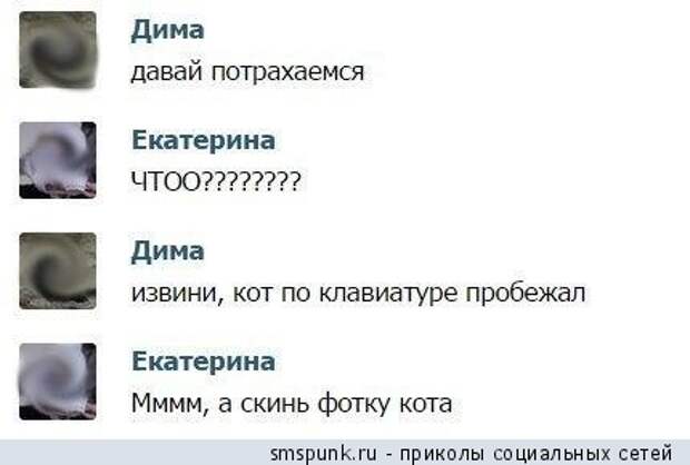 Кот по клавиатуре пробежал