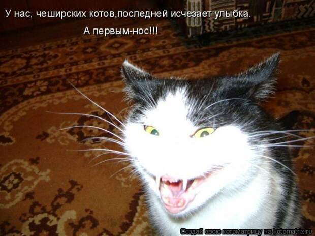 Мысли вслух :)