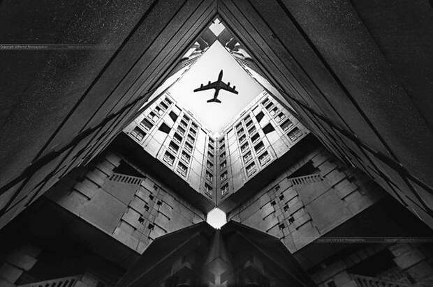 Фото сделанные в нужный момент нужный момент, подборка, фото
