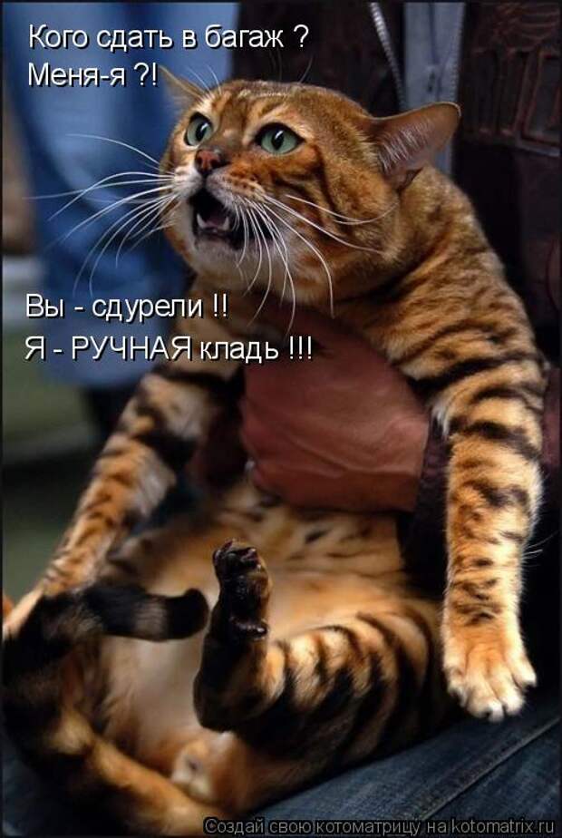 Давайте улыбаться вместе! :) (23улыбоки)