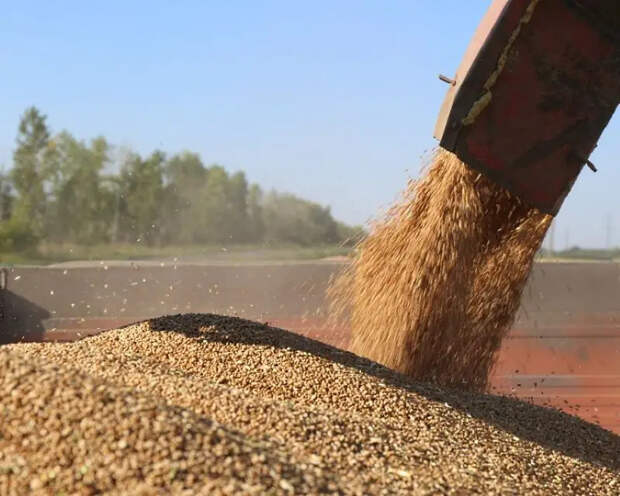 Евросоюз решил не продлевать беспошлинный ввоз аграрной продукции из Украины