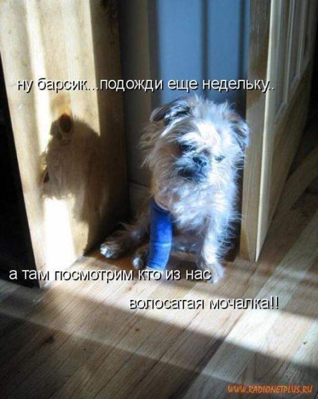 Мысли в слух