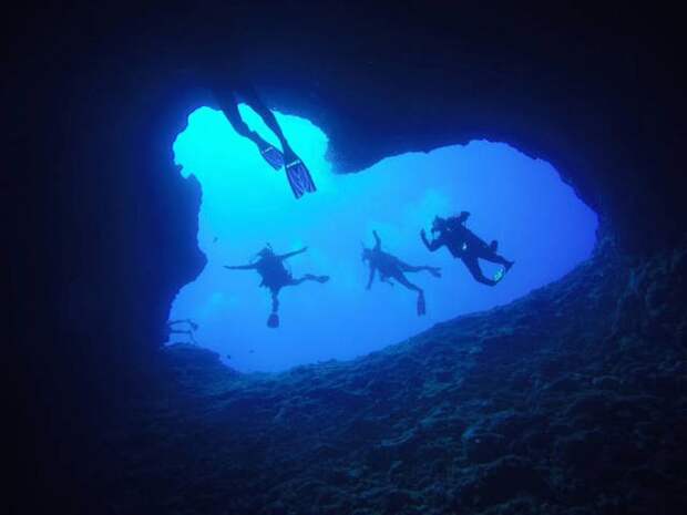 Прикольные картинки. Вечерний выпуск (57 фото)