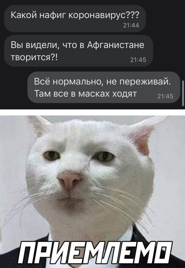 Смешные картинки вечер 18 августа 2021