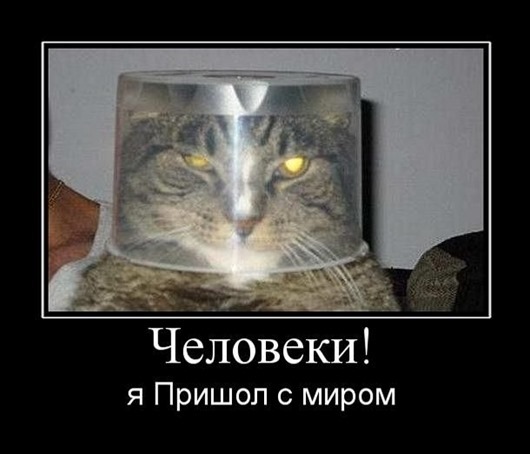 a5aed076fcc8786f4542106f9cf