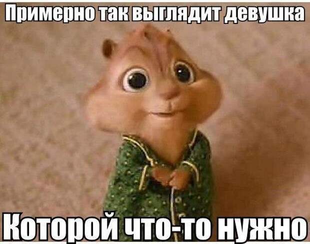 Картинки, юмор, приколы