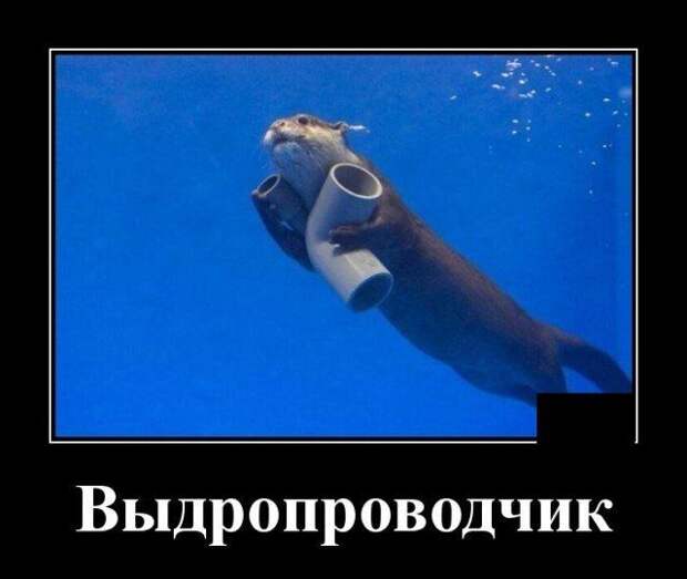demotivatory-demotivator-smeshnye-demotivatory-demotivator-so-smyslom