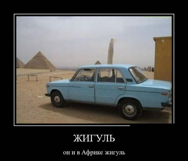 Демотиваторы №1098 (30 фото)