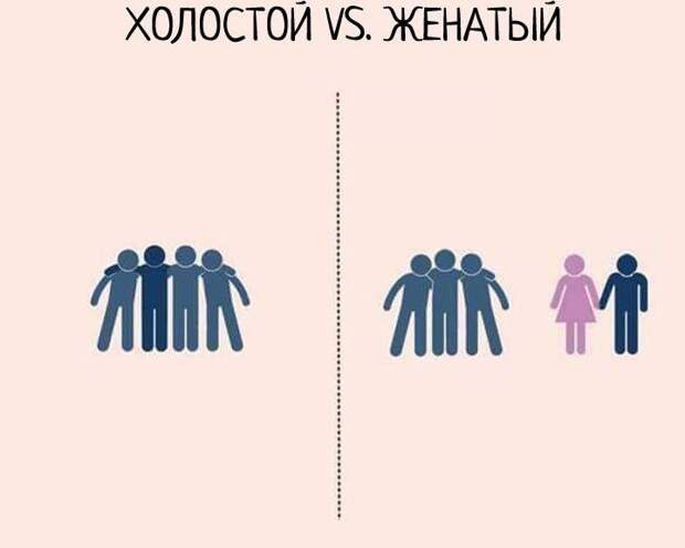 отличия женатиков от холостых 