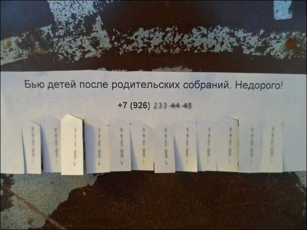 Бизнес не дремлет  дети, коты, прикол, юмор