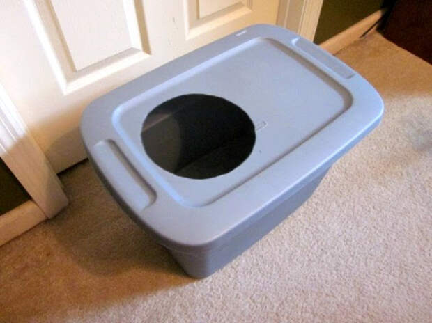 кошачий туалетик