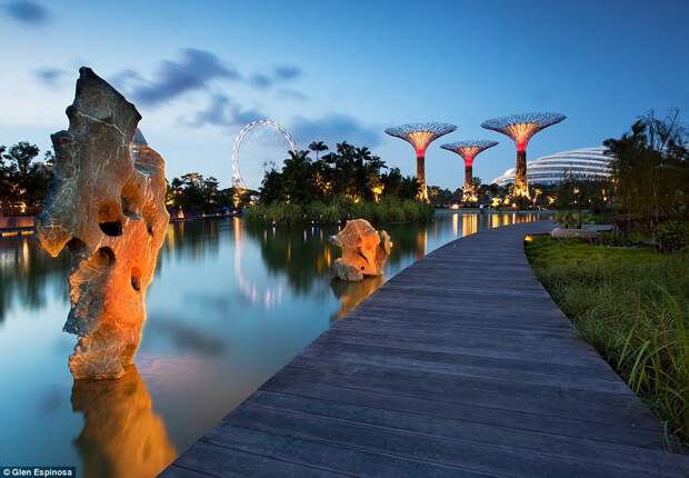 Супердеревья в садах "Gardens By The Bay", Сингапур