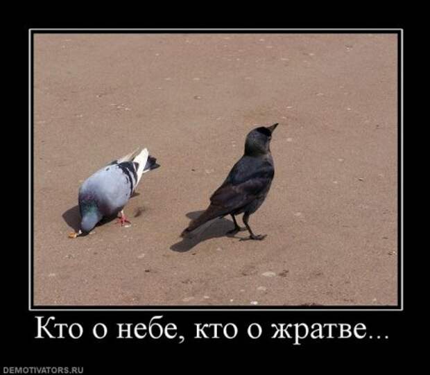 Пятничные демотиваторы, много новых прикольных.