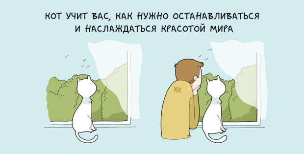 забавные причины завести кота