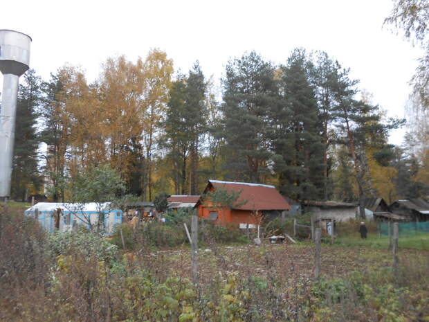 DSCN6963.JPG