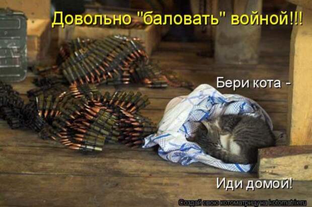 Котоматрицы (картинки с надписями)