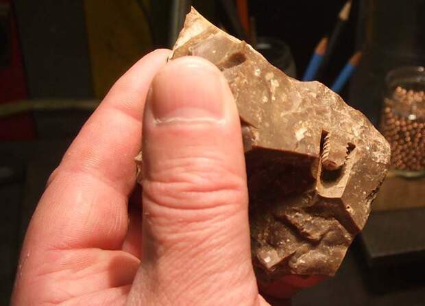 В Москве нашли болт, которому 300 миллионов лет! Так ли это? загадки, история, планета