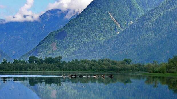 10 самых красивых мест Алтая