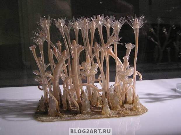 JellyFish009