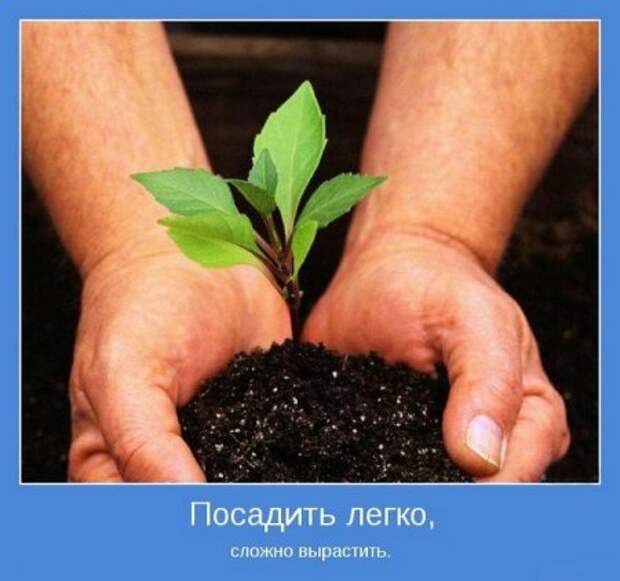 Картинки серьезные темы мотиваторы.