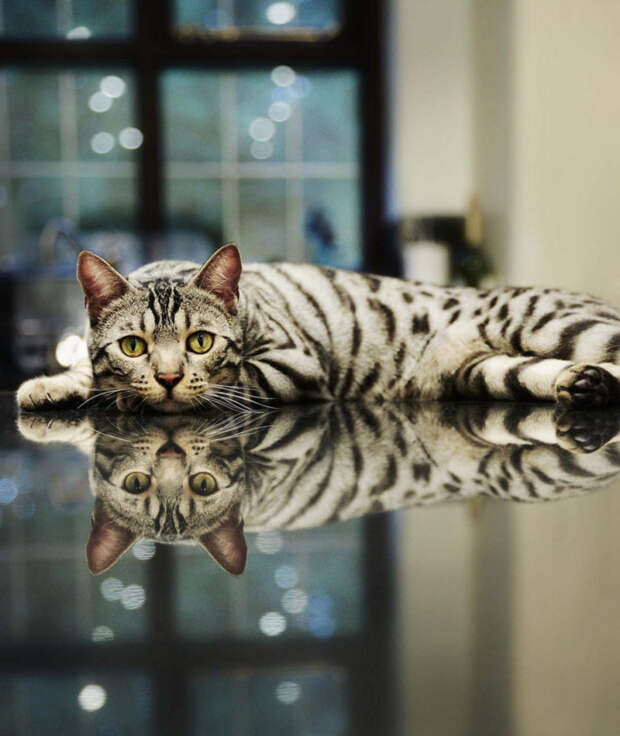 фотографии от которых невозможно оторваться 