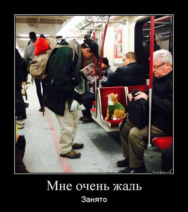 Демотиваторы демотиваторы, прикол, смех, юмор