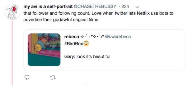 Bird Box meme