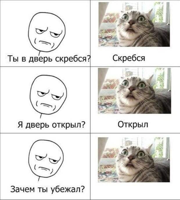 Смешные комиксы (06.07.17)