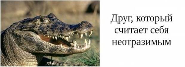 Такие друзья, есть у каждого из вас.