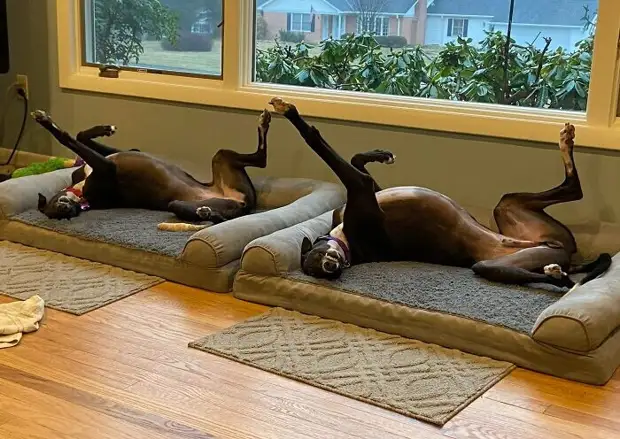 ���� � ������� ��� �������� ���������� � ���� ��������