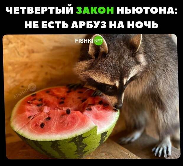 Ахаха Ахаха
