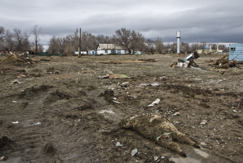 Кызылагаш, восемь месяцев спустя