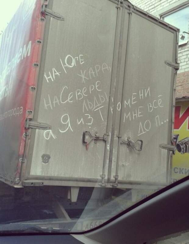 Фото приколы по полной.