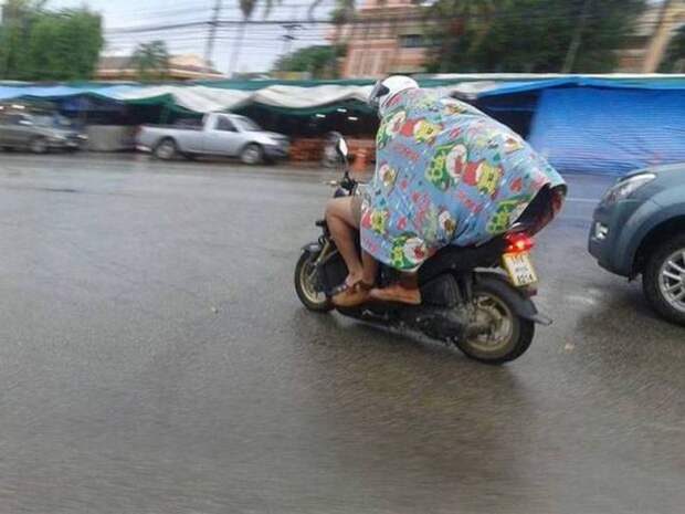 Прикольные картинки. Дневной выпуск (59 фото)