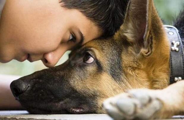 Интересные высказывания о жизни