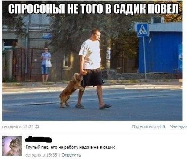 Ржака из социальных сетей