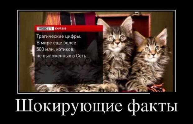 Демотиваторы демотиваторы, юмор