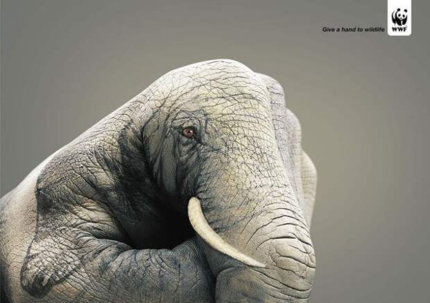 Креативная реклама WWF (19)