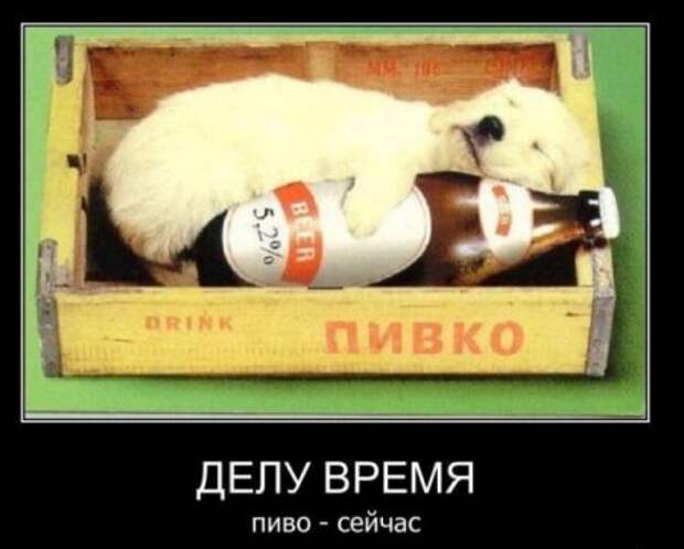 Прикольные демотиваторы, гарантия хорошего настроения.