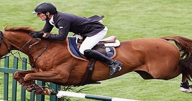 The Most Expensive Horses in the World
